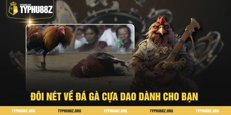 Đôi nét về Đá gà cựa dao dành cho bạn