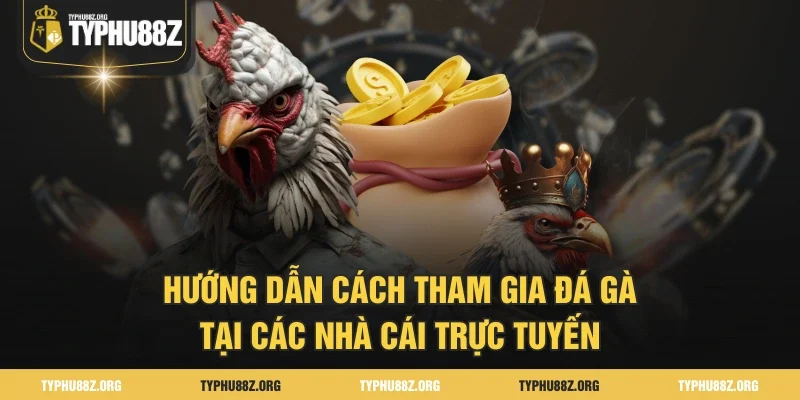 Hướng dẫn cách tham gia đá gà tại các nhà cái trực tuyến