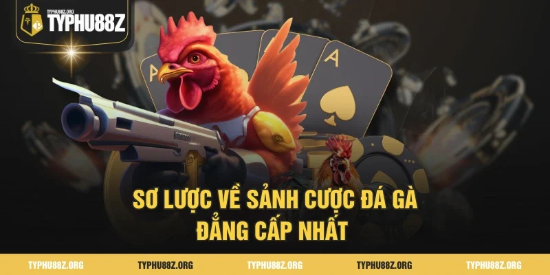 Sơ lược về sảnh cược đá gà đẳng cấp nhất